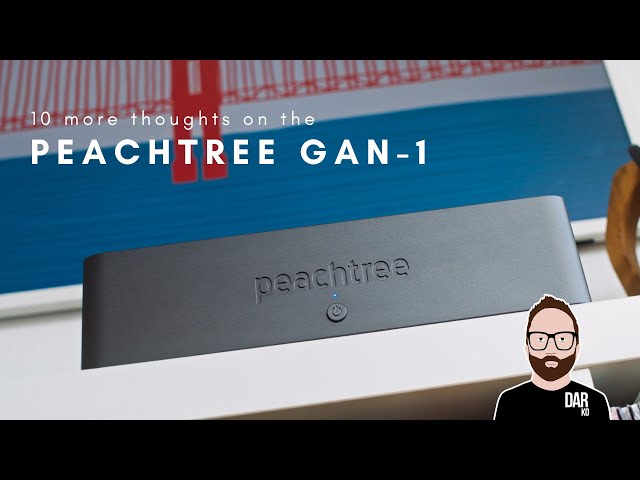 10 MORE THOUGHTS on the Peachtree GAN-1 ✍🏻 ('Dear John')