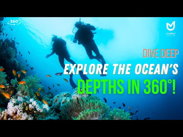 Dive Deep: Explore the Ocean's Depth in 360°! | UnoMiru India