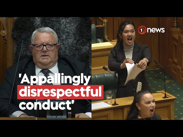 Inside the House as the Treaty Principles Bill debate erupted | 1News on TVNZ+