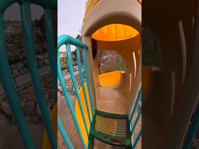 tallest playground slide!