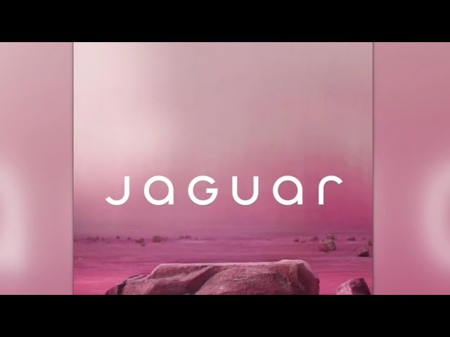 ‘No one is buying DEI’: Jaguar slammed over bizarre new ad