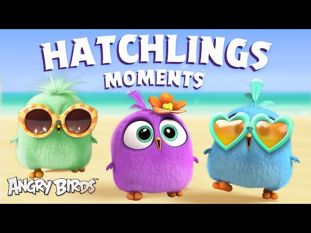 Angry Birds | Adorable Hatchlings Moments