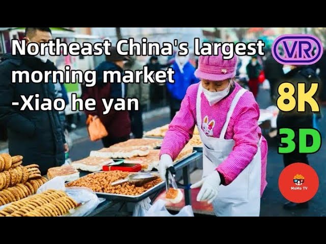 【180° VR】Traditional Morning Market in Northeast China - Xiao He Yan  Morning Market 沈阳早市 8K 3D 180