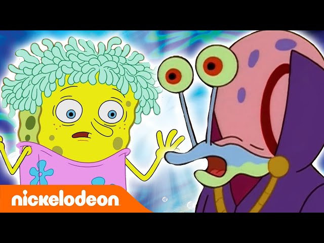 Bob Esponja | Gary, la reina del drama | España | Nickelodeon en Español