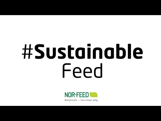 Green Idea #16: Nor-Feed: Sustainable Feed