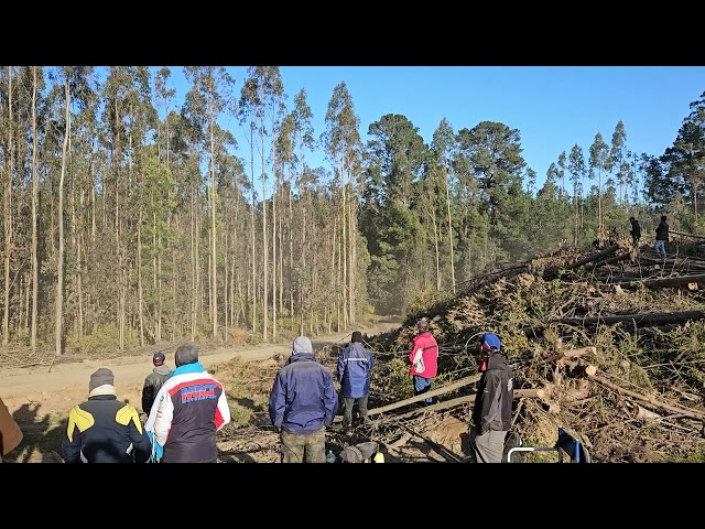 Eduardo KOVACS & Rubén GARCÍA - PE n° 7 . Chivilingo . Categoría WRC 2 - Rally Chile 🇨🇱🇨🇱 2023