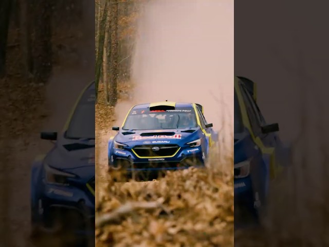 It's a good day to go fast at the 100 Acre Wood Rally with Subaru Motorsports