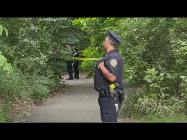 Con un grito, mujer evita ataque sexual en Central Park