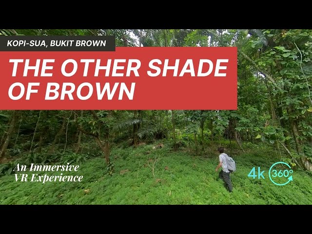 The Other Shade of Brown | Kopi-Sua | Bukit Brown | 360° Immersive Hiking Video