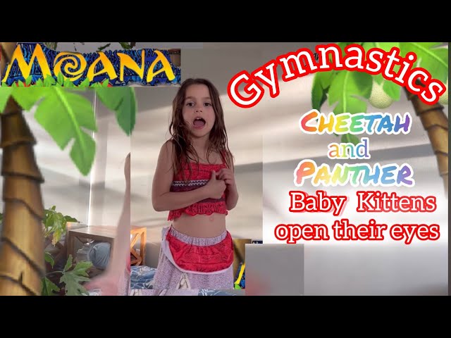 Moana Gymnastics Baby Kittens open their eyes, How far I’ll go Song, Cartwheel, Backbend