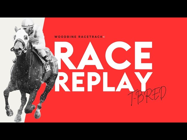 Woodbine, Tbred, November 21, 2024 Race 3 | Woodbine Horse Race Replay