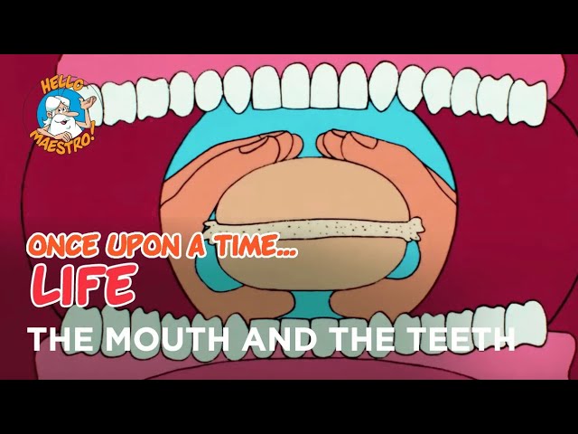 Once Upon a Time... Life - The mouth and the teeth