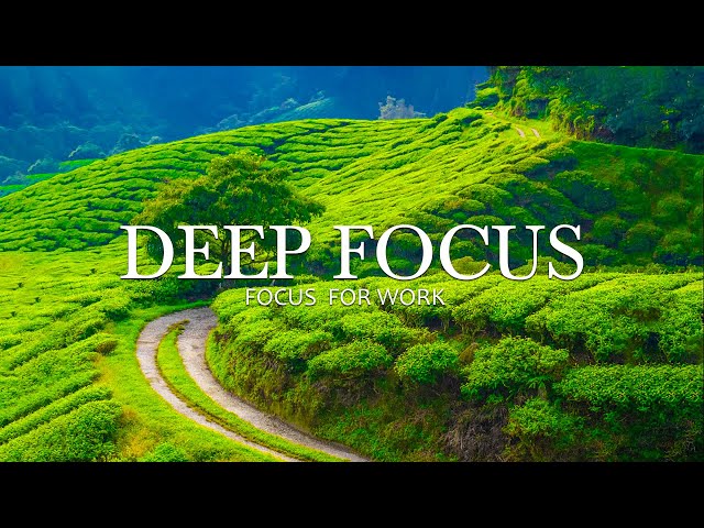 Deep Focus Music To Improve Concentration - 4 Hours of Ambient Study Music to Concentrate #151