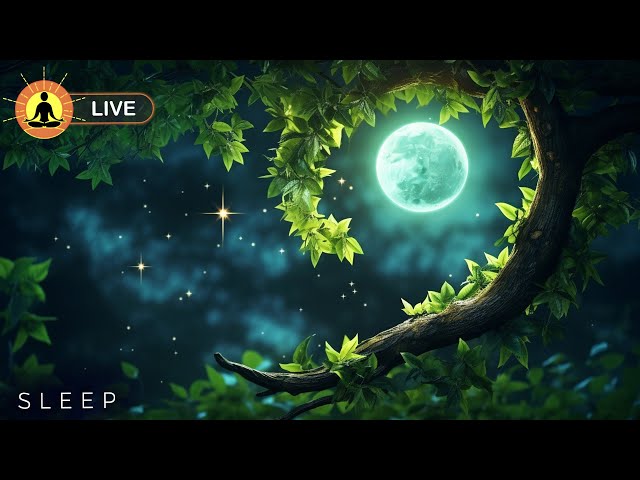 🔴 Night Relaxing Music 24/7, Calming Stress Relief Music, Sleep Meditation, Night Forest Ambience