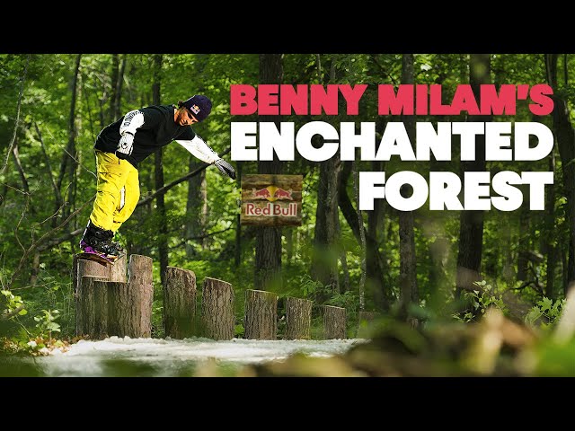 Benny Milam's Summer Dream | ENCHANTED FOREST