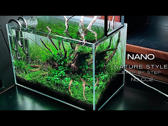 NO CO2 NANO PLANTED AQUARIUM | STEP BY STEP AQUASCAPE TUTORIAL | AQUASCAPING TUTORIAL