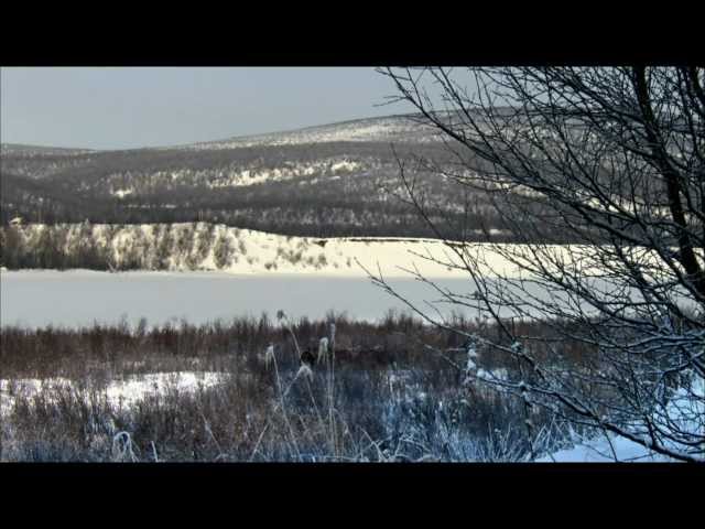 ¨Wild Sweden¨ Look In My Eyes¨ HD 1080 Surround 5.1