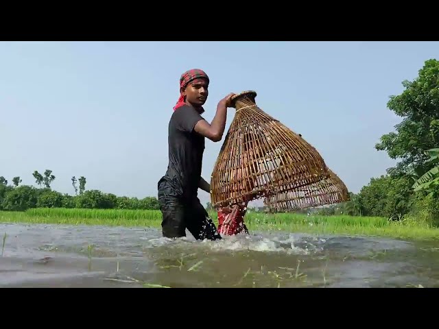 Old Traditional & Most Popular Village Fishing || part-9 || amazing Fishing video 2023