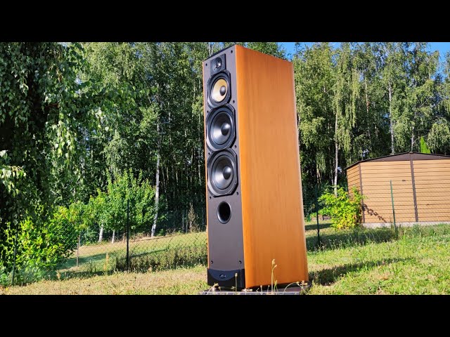 Paradigm Studio 100 V2 Hifi Nature #22