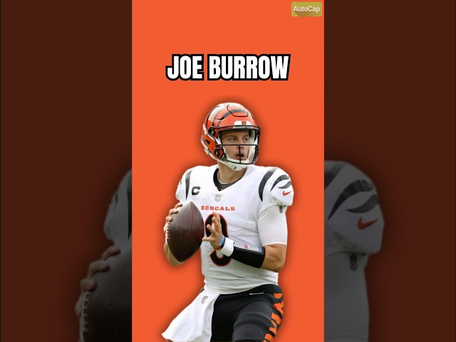 Joe Burrow & the Cincinnati Bengals: Do They Have a Chance?