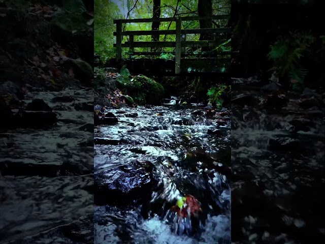 Return to Nature #ASMR #peaceful #outdoors