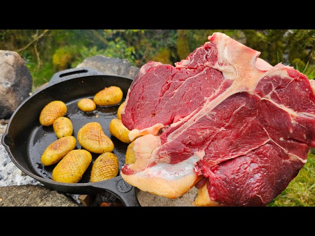 How to Prepare the JUICIEST T-BONE Steak | Relaxing ASMR in Nature