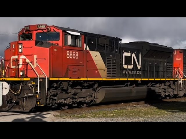 CN A425