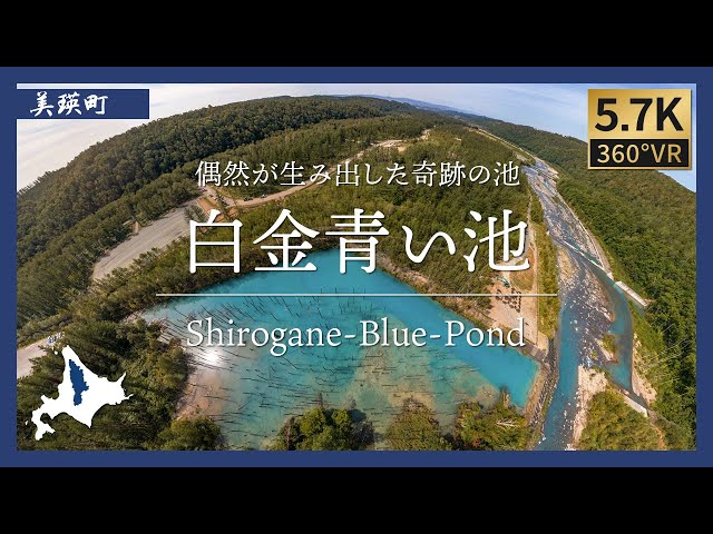 【北海道360°VR】偶然が生み出した奇跡の池 | 白金青い池