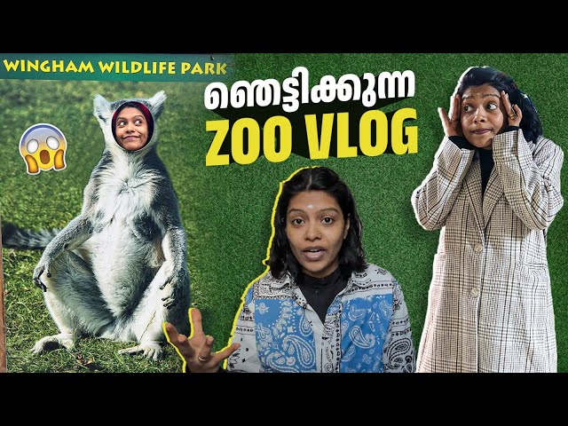 ഞെട്ടിക്കുന്ന Zoo Vlog 😱🔥 | Sreekuttan | Mithila Venugopal | Malayalam Vlogs