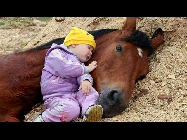 Tender Moment Between a Little Friend and a Horse