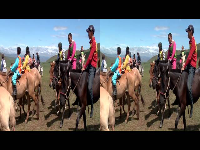 Pride of Mongolia: The Naadam Festival 3D