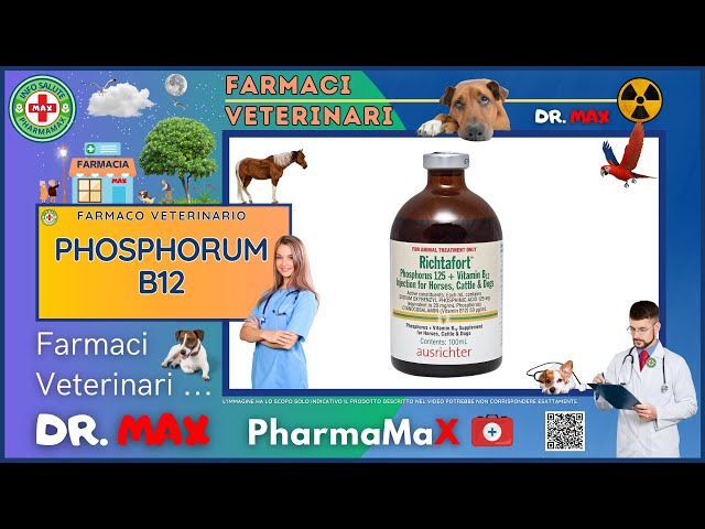 🐶 PHOSPHORUM B12 Farmaco Veterinario a cosa serve ? - Foglietto Illustrativo 👔 Dr. MAX