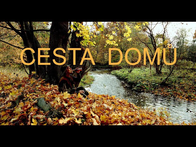 CESTA DOMŮ  - PÍSEŇ