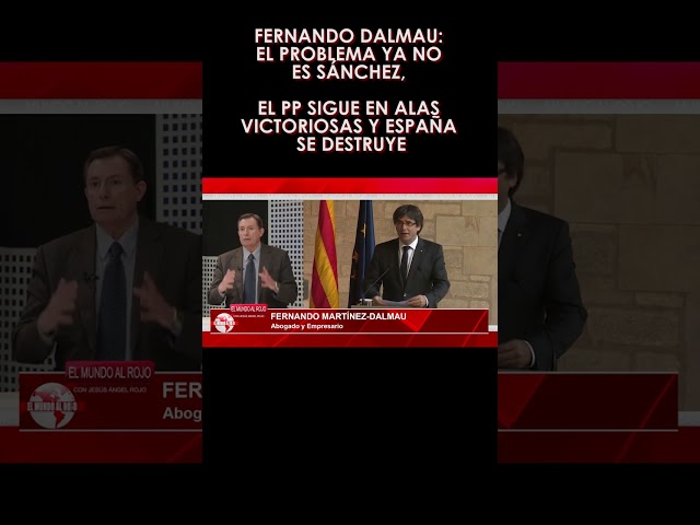 🔴Fernando Dalmau: El problema ya no es Sánchez, el PP sigue en alas victoriosas y España se destruye