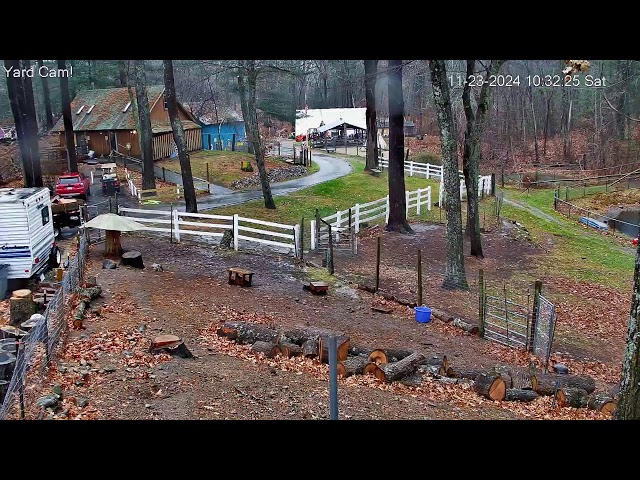 Goldy's Farm Animal Sanctuary Live Stream (www.GoldysFarm.com)