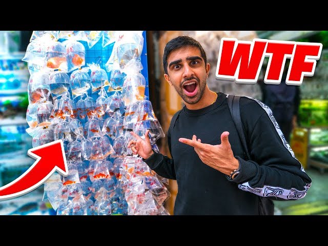 I went to The STRANGEST SHOP in CHINA!