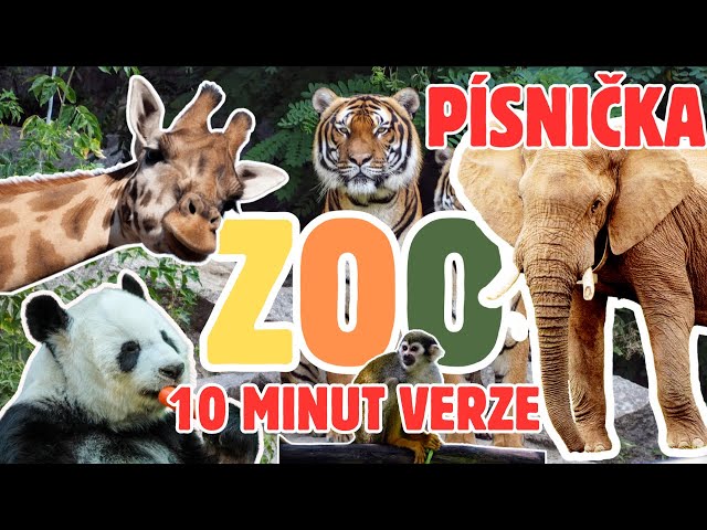 ZOO- PÍSNIČKA PRO DĚTI - 10 MINUT VERZE