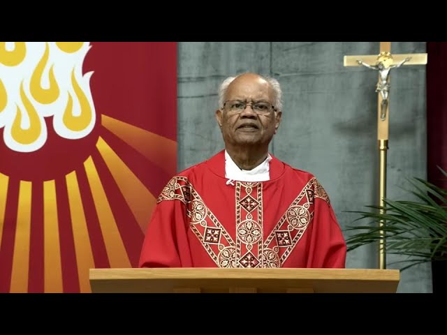 Catholic Mass Today | Daily TV Mass, Friday November 22, 2024