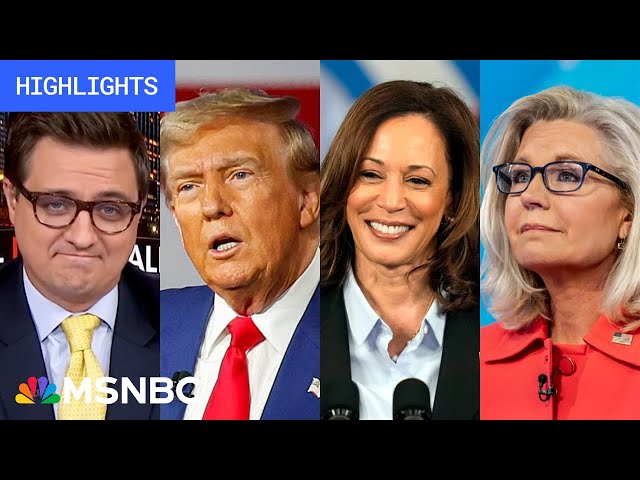 Countdown to the 2024 election: Day 60 | MSNBC Highlights