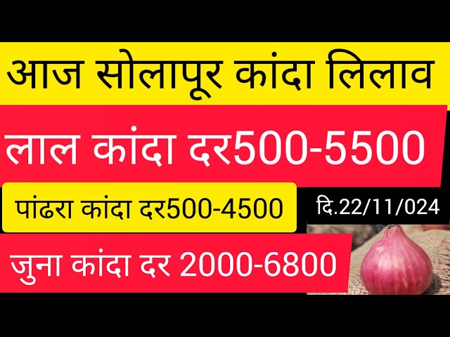 आज सोलापूर कांदा मार्केट स्थिर लाल कांद्याला उच्चांकी 5000दर सरासरी 2500