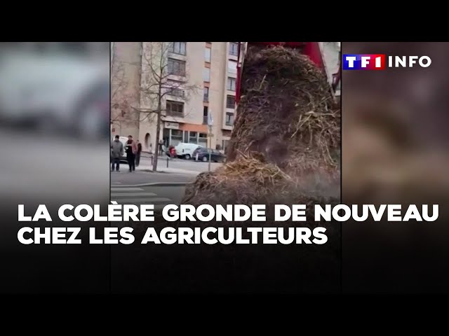 La colère gronde de nouveau chez les agriculteurs｜TF1 INFO