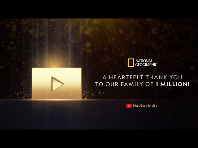 A Family of 1 Million! | #NatGeoIndia