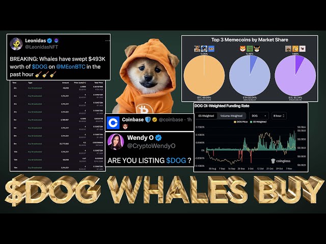 $DOG (Rune) Whales Accumulate Dip as BTC hits ATH (PROOF) 🐋