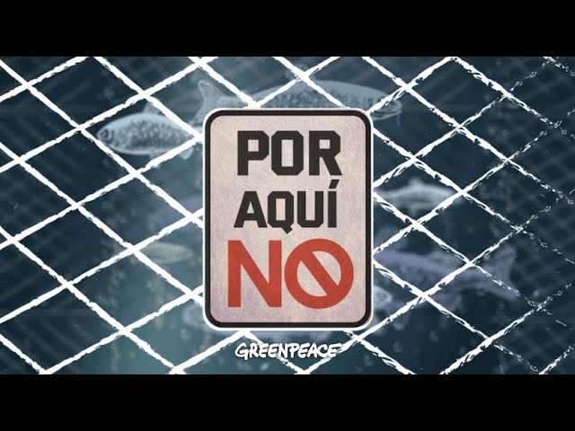 POR AQUÍ NO 🚫 La amenaza salmonera en la Reserva Nacional Kawésqar.