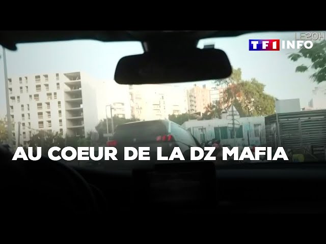 Au coeur de la DZ mafia｜TF1 INFO