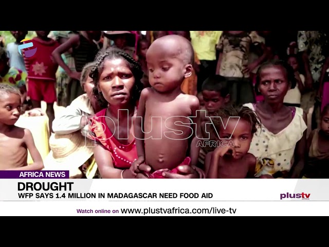 WFP Says 1.4 Million People Need Food Aid in Madagascar | AFRICA NEWS