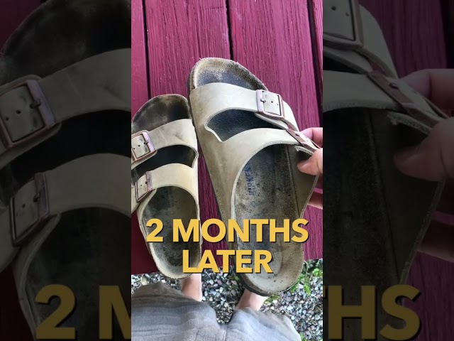 Birkenstock Arizona Sandal Review