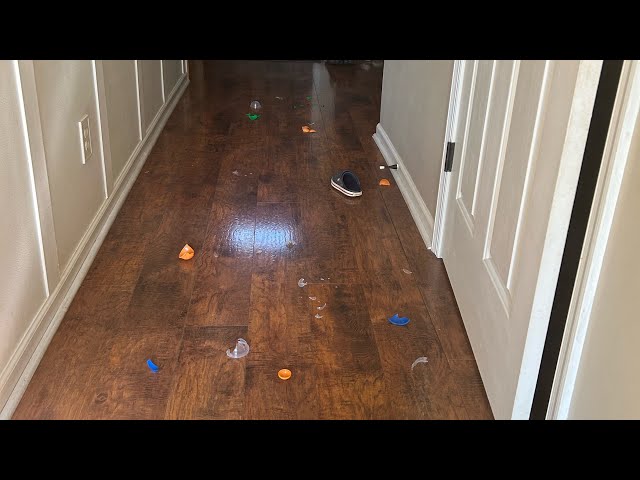 We bounce bouncy balls and now the hallway is a mess and we smashed all of the toys open ￼