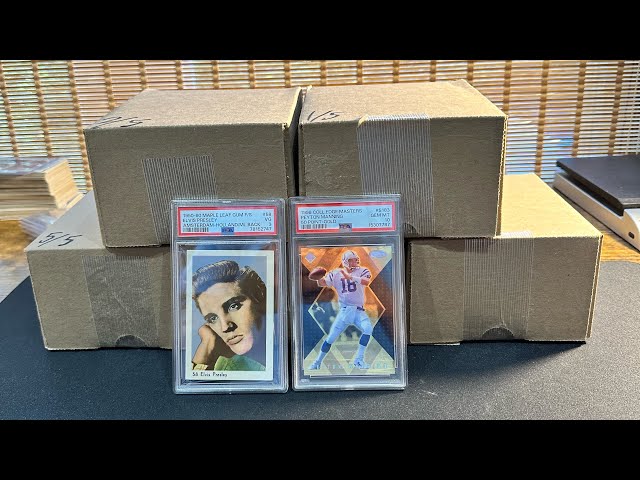 Our Best PSA Grading Return Yet!!!  79 Card Modern Sports Card Grading Reveal