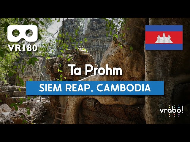 [VR180/5K] Ta Prohm (Angkor Ruins, Siem Reap Province, Cambodia)